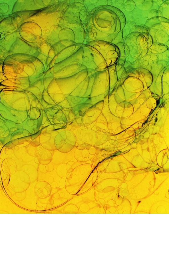 Beauty Hair I | MICHAEL WIRTH